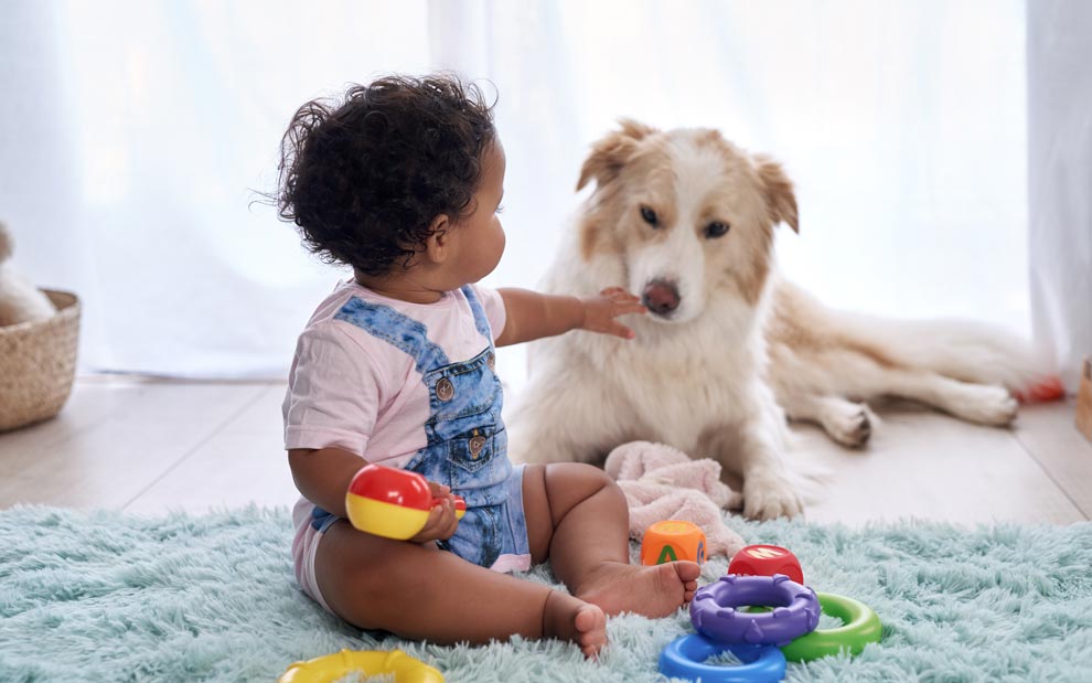 Middle School Transition and Pets with Babies baby and dog