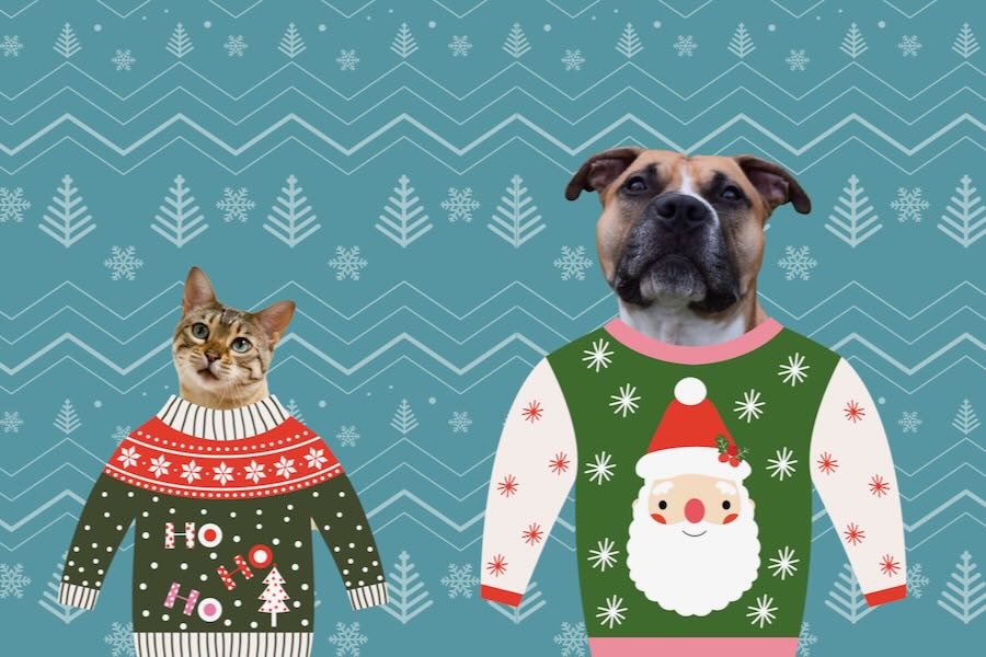 Operation Silent Night and Other Ways to Help RAL Help Animals OperationSilentNight _ RAL