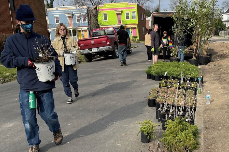 Local Groups Host Tree Distribution and Planting Events free trees _ JRA