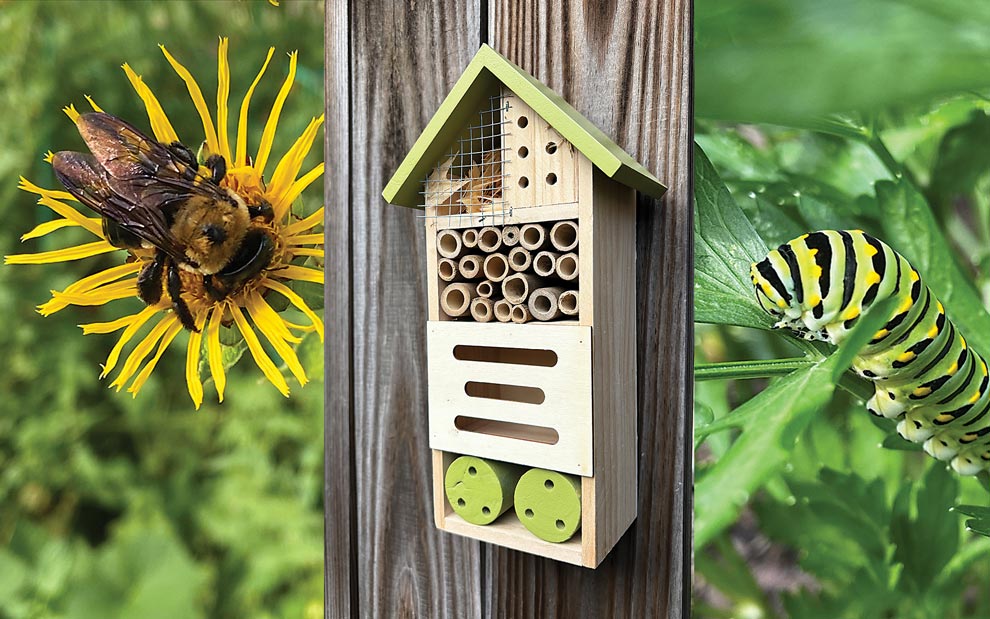 Plant a Garden Pollinators Will Love!