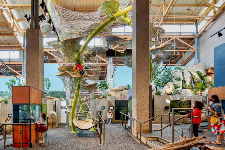 Play and Learn at These Indoor Venues Robins Nature Center at Maymont