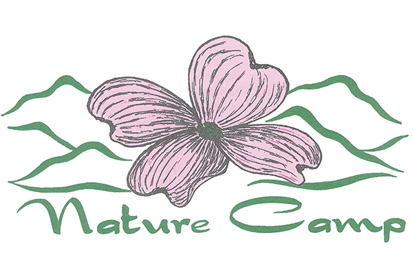 Nature Camp