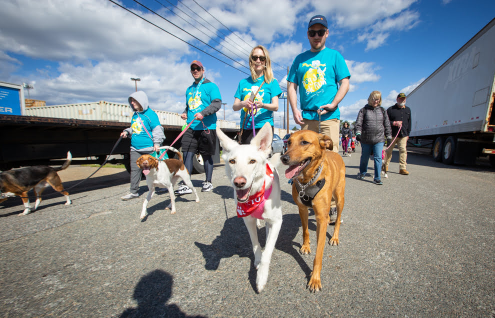 Richmond SPCA Dog Jog