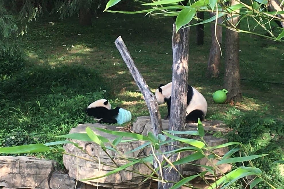 Destination D.C. : A Family Guide to Enjoying Our Nation’s Capital Washington DC family guide