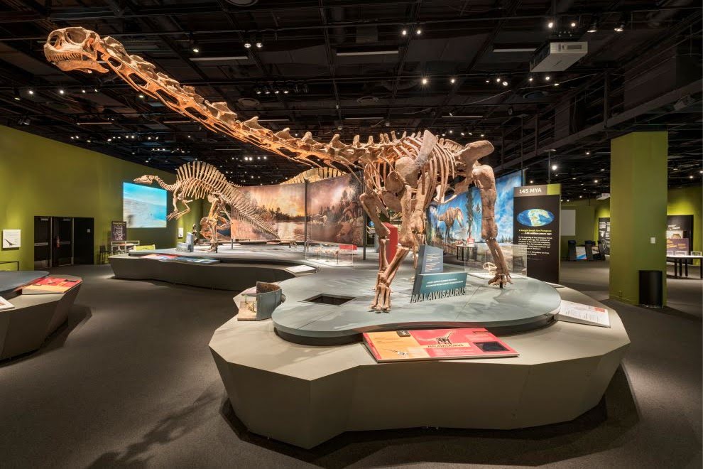 Ultimate Dinosaurs Roam into Richmond: Explore the Science Museum’s Summer Exhibit Ultimate Dinosaurs exhibit