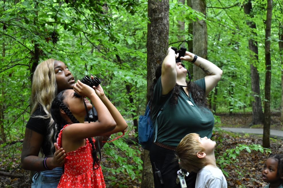 Chesterfield to Celebrate 50 Years of Rockwood Park Rockwood Nature Hike