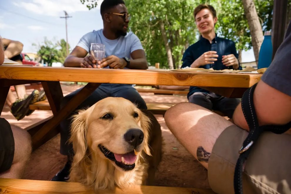 Area Restaurants and Taprooms Support the Richmond SPCA with Pups, Plates & Pours Richmond SPCA's Pups, Plates & Pours 2025