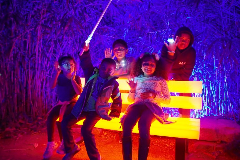 Maymont Garden Glow - Photo Credit Dave Parrish