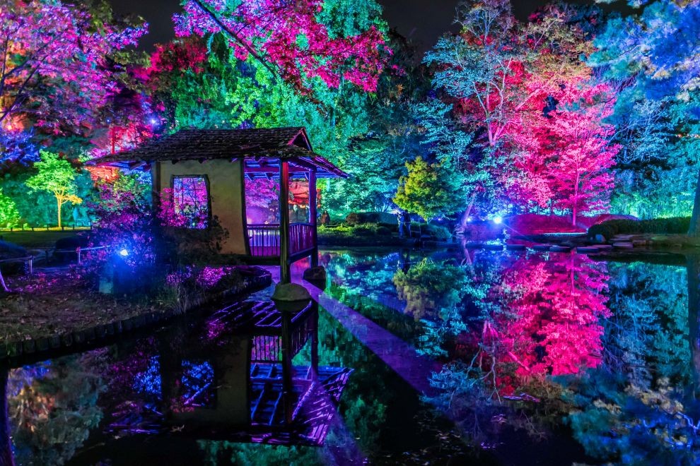 Maymont Garden Glow