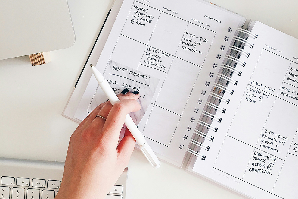 Managing the Motherload planner with appointments listed