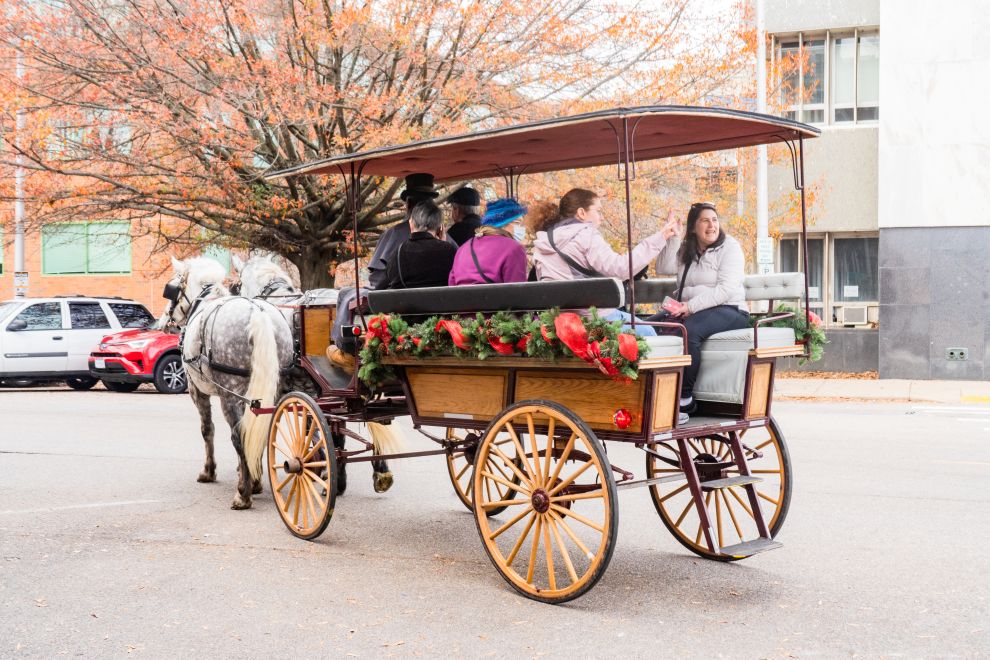 Winter Wander 2025 Is Sure to Delight the Whole Family Winter Wander - horse-drawn carriage ride