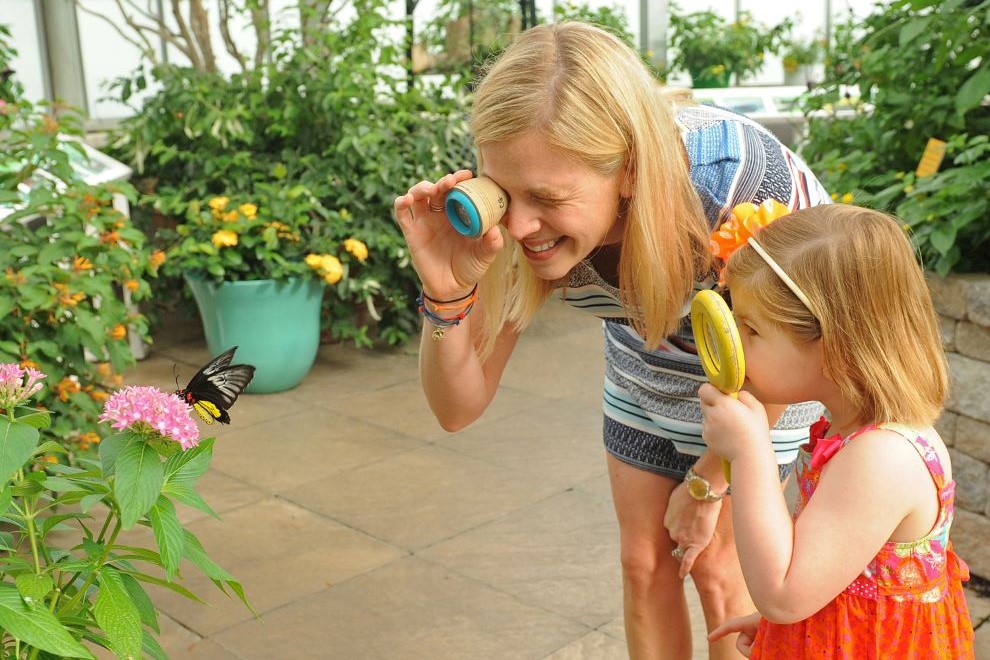 M&T Bank Butterflies LIVE! Returns to Lewis Ginter Botanical Garden Lewis Ginter Botanical Garden Butterflies Live