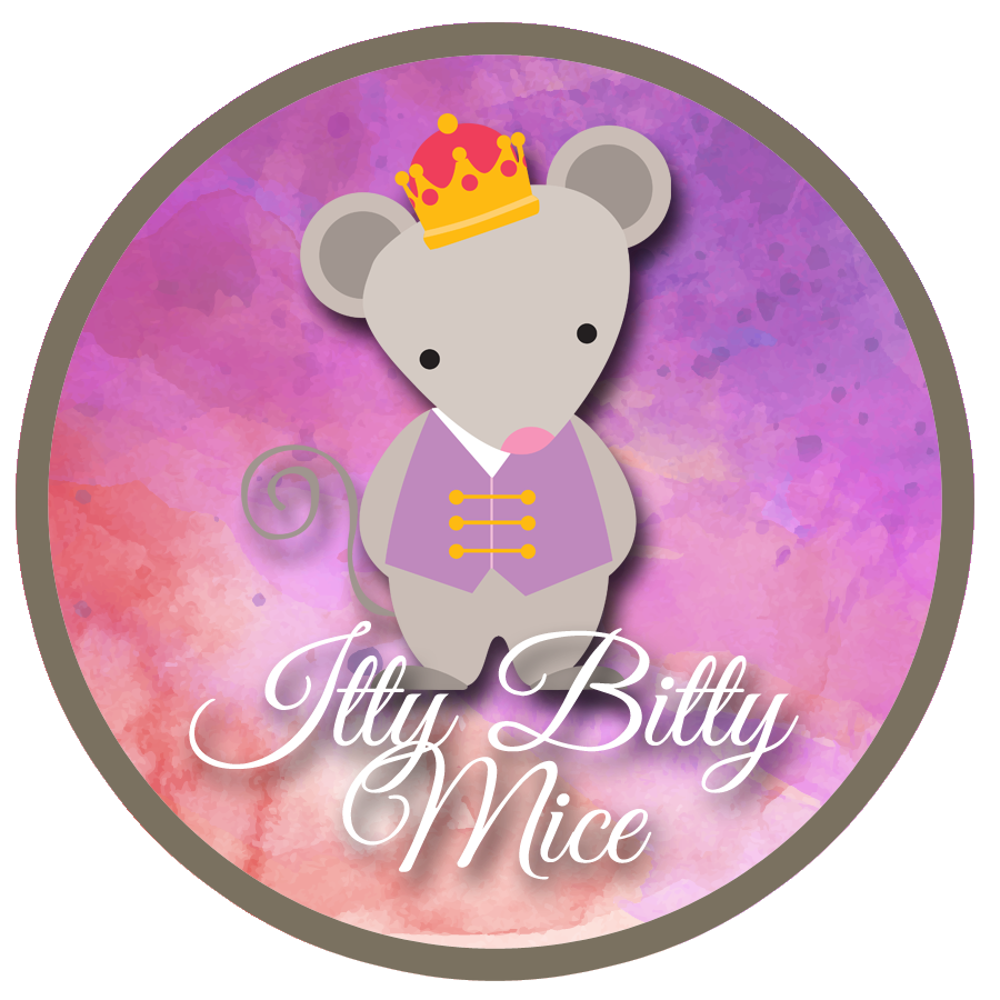 Winter Break One-Day Camp – Itty Bitty Mouse at Bella Ballerina Short Pump