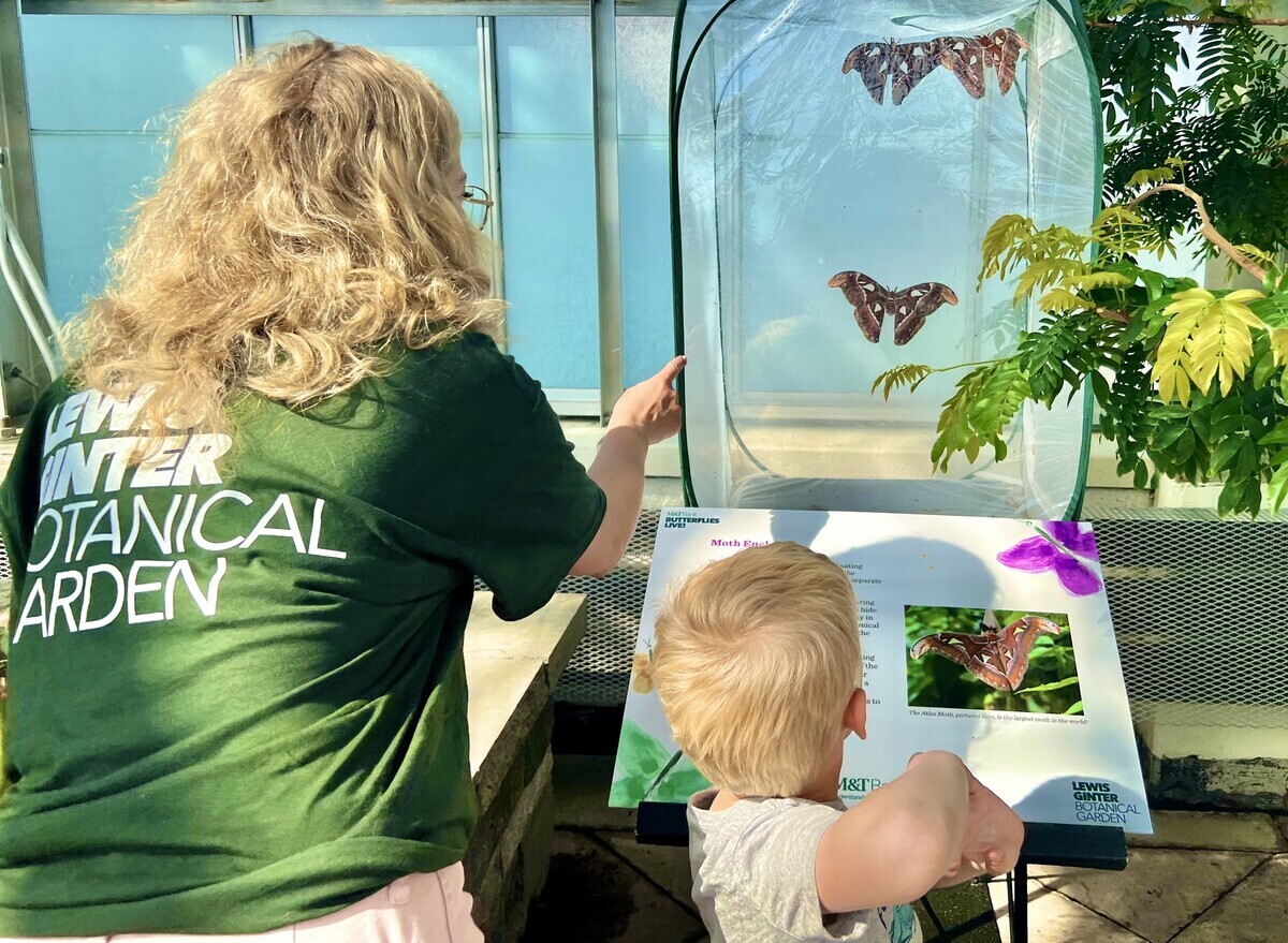 Tips for Visiting M&T Bank Butterflies LIVE! at Lewis Ginter with Kids
