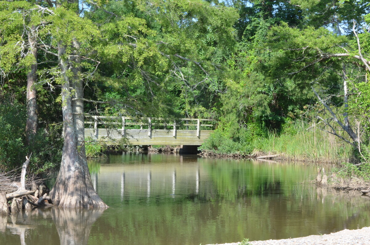 Virginia State Parks Set Goal to Reopen Campgrounds