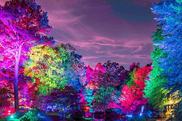 Following COVID-19 Protocols, Maymont’s Garden Glow Will Delight All Ages