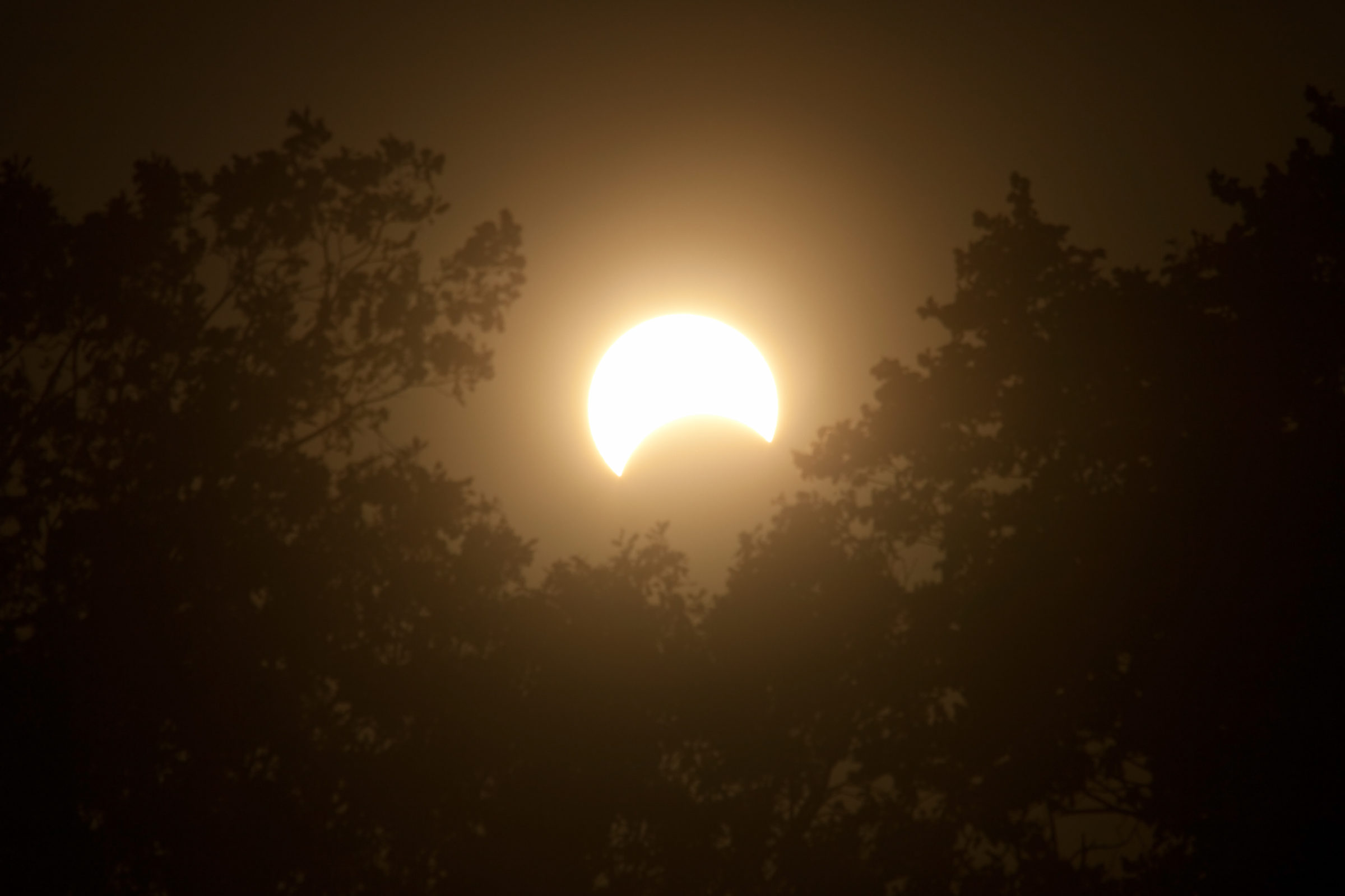 Science Museum of Virginia to Host Eclipse Viewing Party