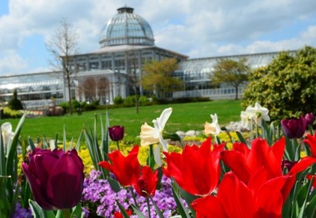 Spring Break Staycation Ideas for Richmond, VA Families