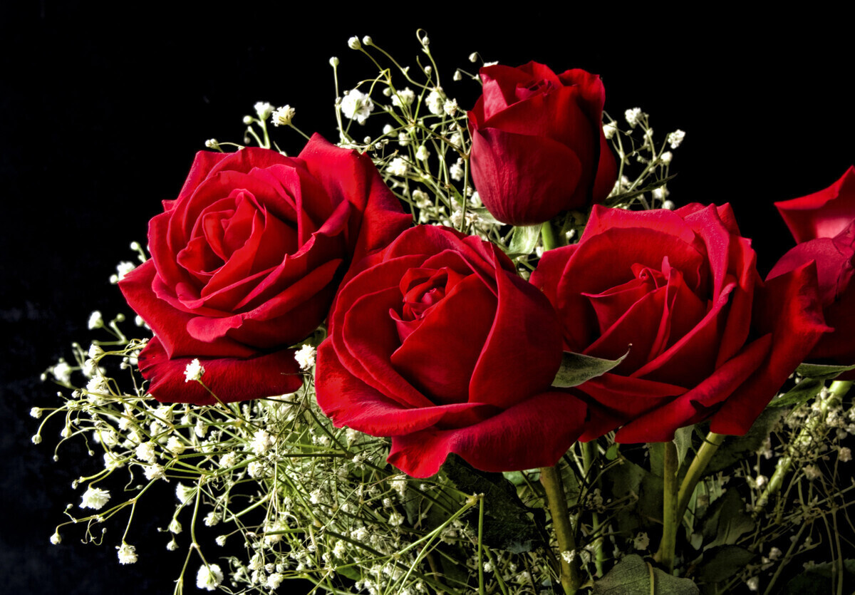 Red Roses for You