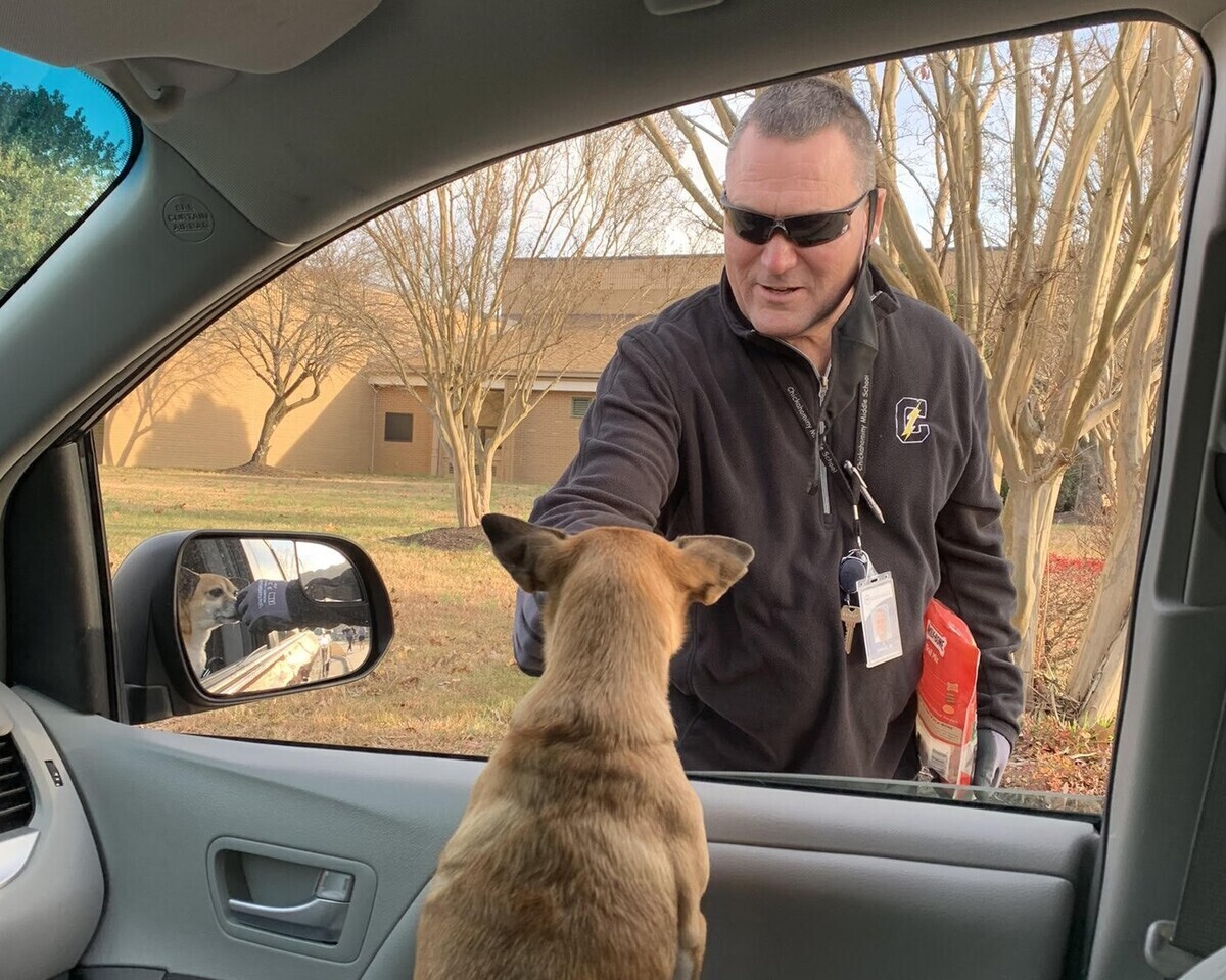 Morning Drop-off Goes to the Dogs