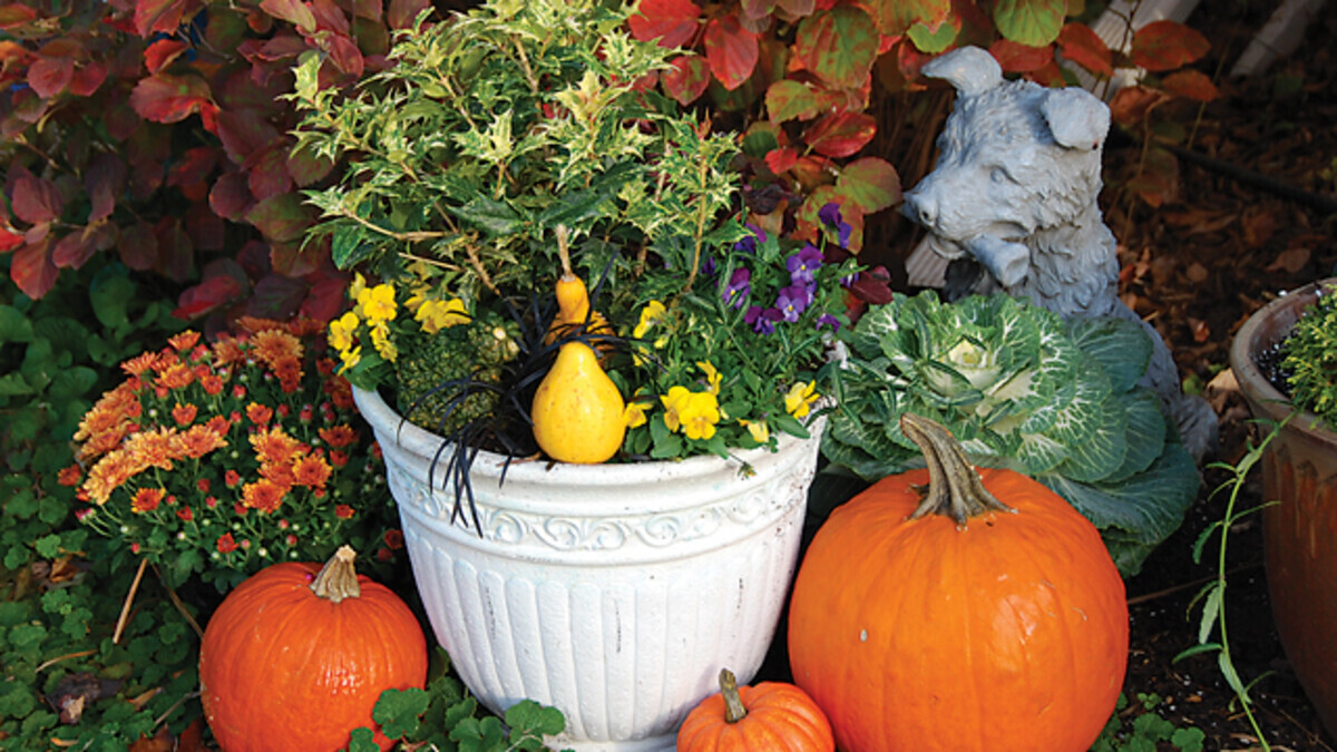 Container Gardens Made Simple