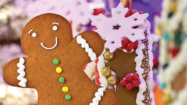 Celebrating Gingerbread Season!