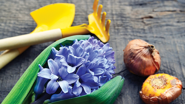 7 Gift Ideas That Grow on You