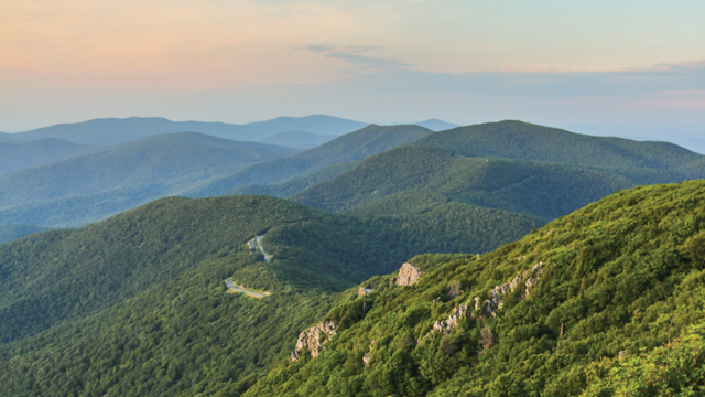 “Crush Friday” with Your Next Virginia Vacation!