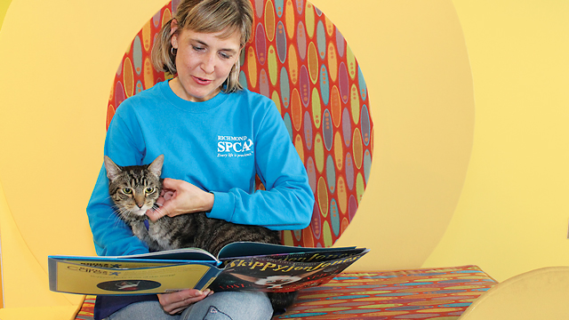 Connecting with Cats in Shelters