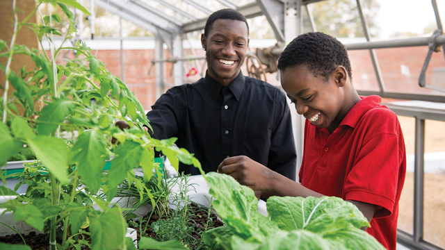 Virginia Mentoring Partnership