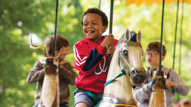 Travel in the Sweet Spot!