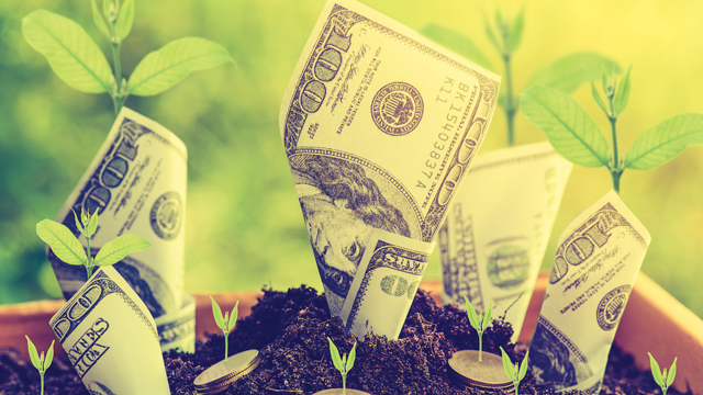 Your Money, Your Values