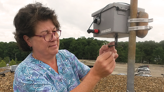 The Science of Pollen Counts