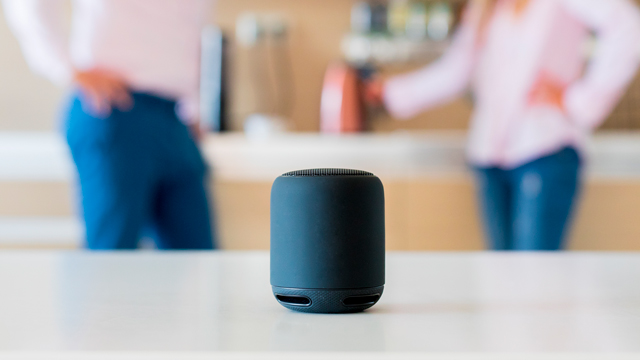 Smart Speakers and Family Life