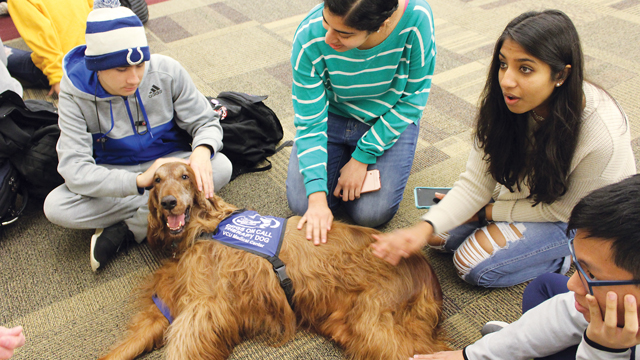 The Best Kind of De-Stressing