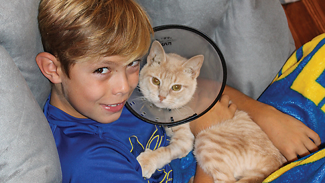 Kitty in Need at Christmastime