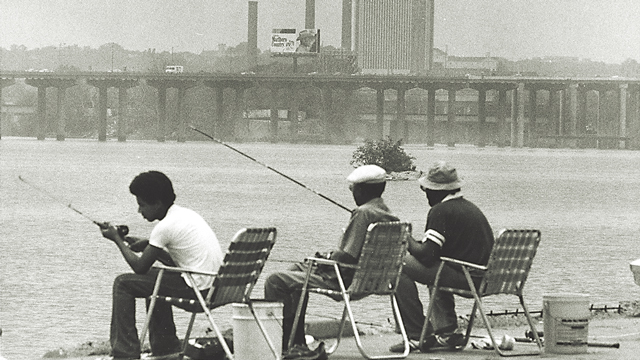 Roots of Environmental Protection