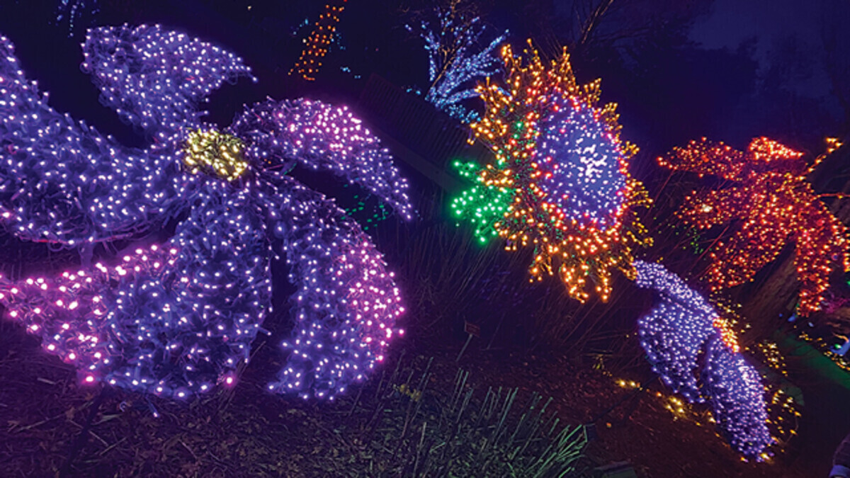 The New-Look Holidays – Celebrating in a Pandemic!