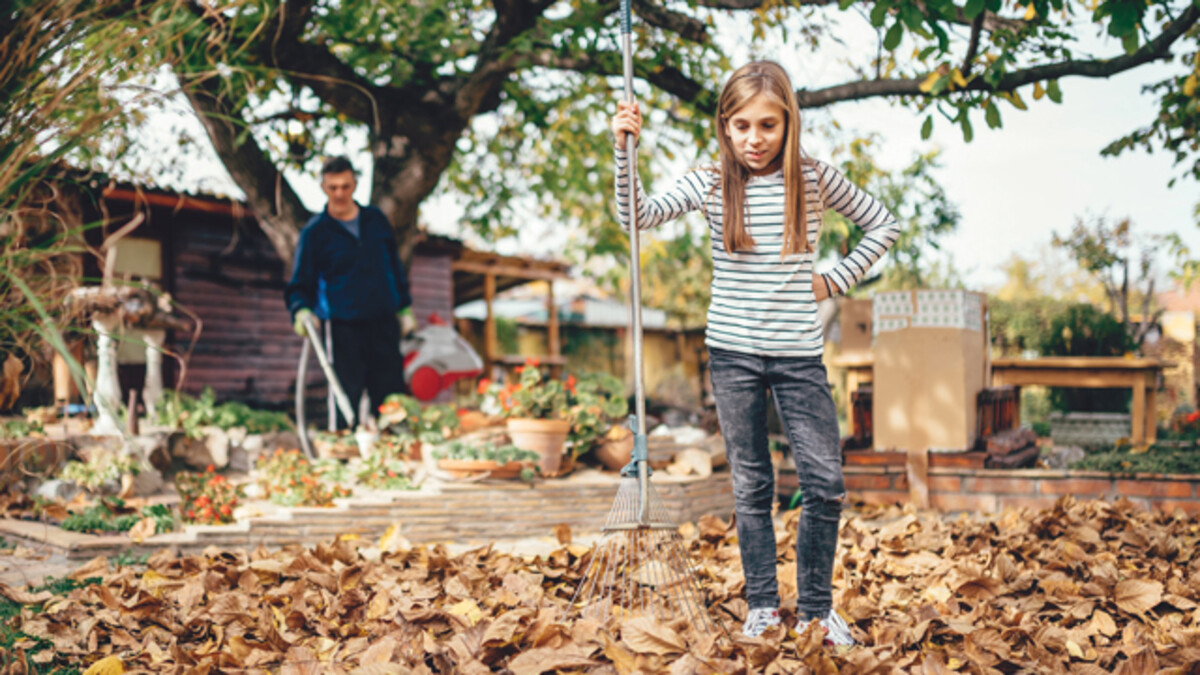 Money-Wise Ages and Stages