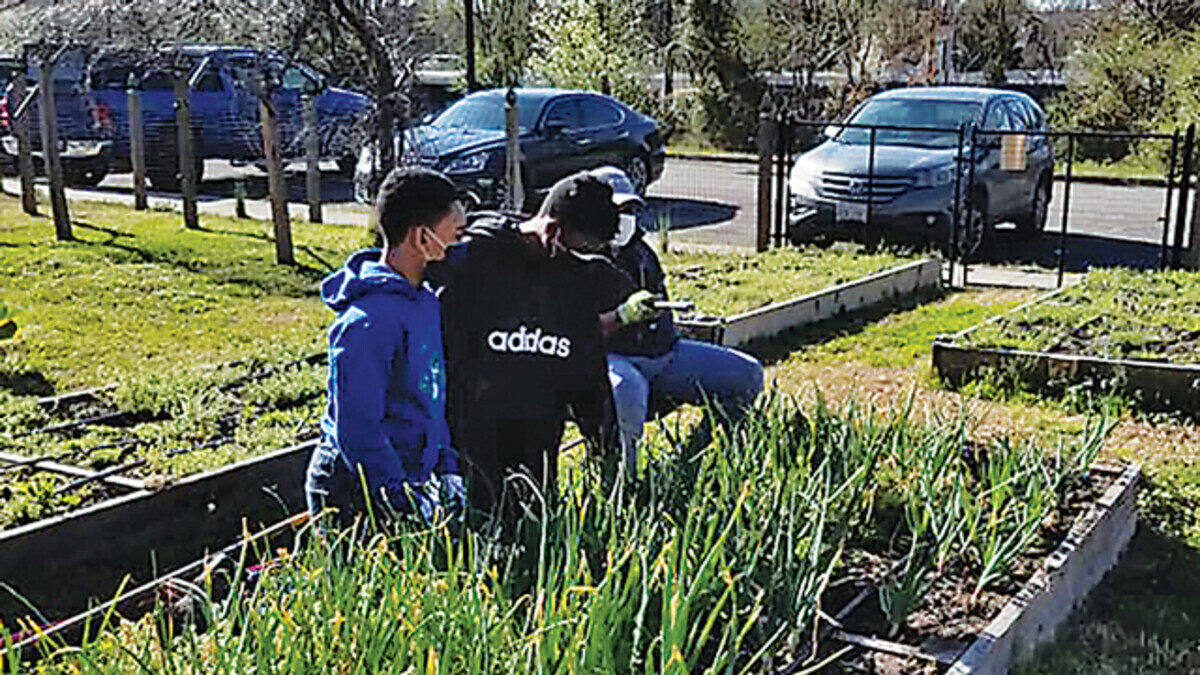 The Benefits of Urban Agriculture