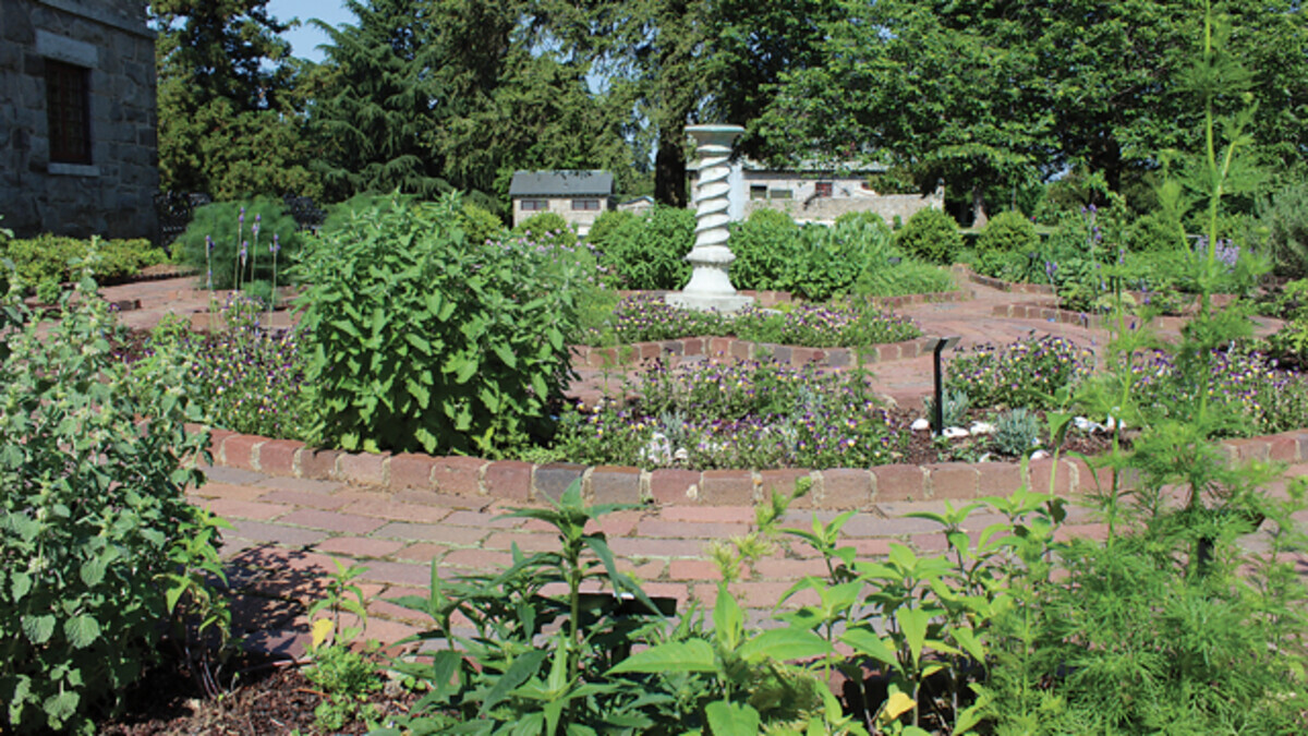 Herb-Growing 101: Your Home-Gardening Guide