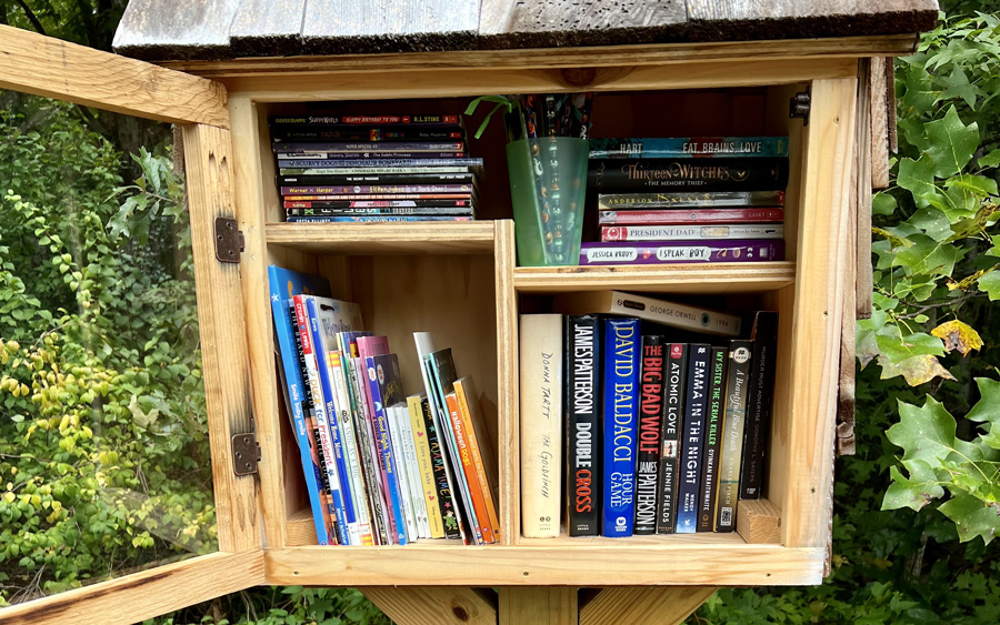 Read, Learn, and Go! Ignite a Love of Literacy and Giving Back in Your Community LITTLE FREE LIBRARIES