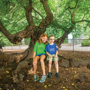 RVA Tree Lovers Unite: Take a Tree Tour!