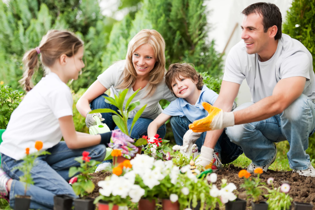 How to Garden as a Family