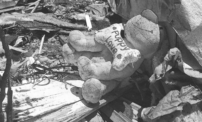 When Disaster Strikes, Is Your Family Prepared?