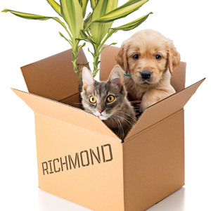 This is Moving! Relocating to Richmond, VA