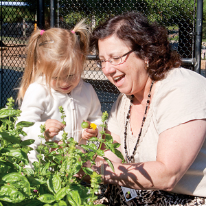 Montessori, Reggio Emilia, Waldorf Explained