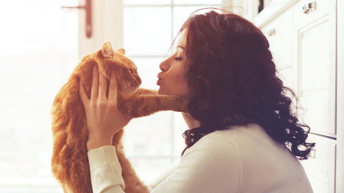 “Am I A Cat Person?”