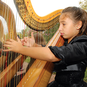 Instrumental Inspiration