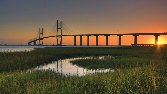 The Family Went Down to Georgia…